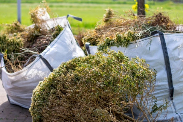 Best Office Junk Removal  in Ke Providence, LA